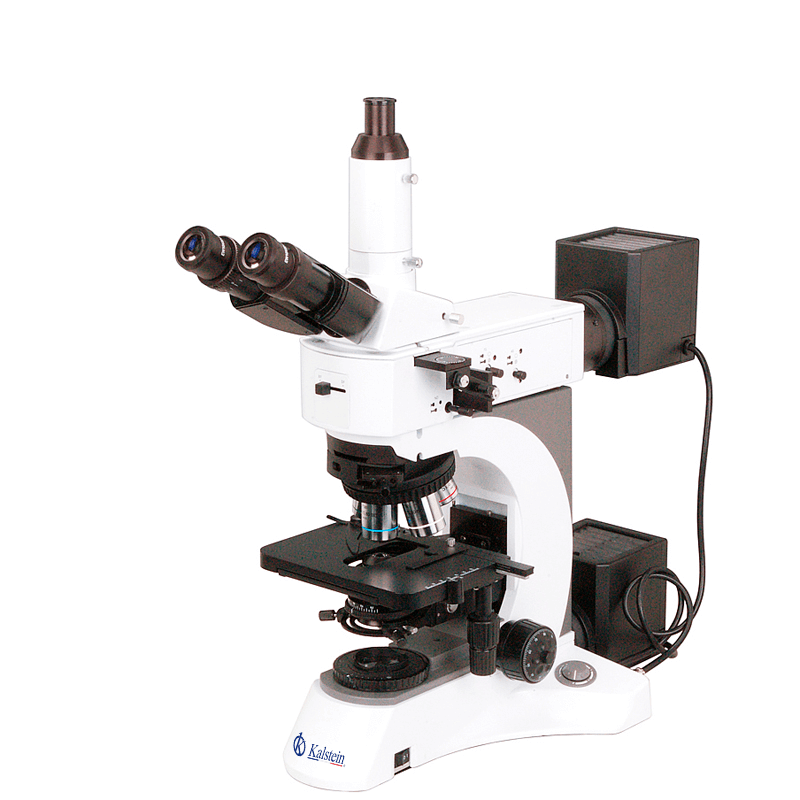 Practical Uses of the YR0256 Trinocular Microscope in Laboratories