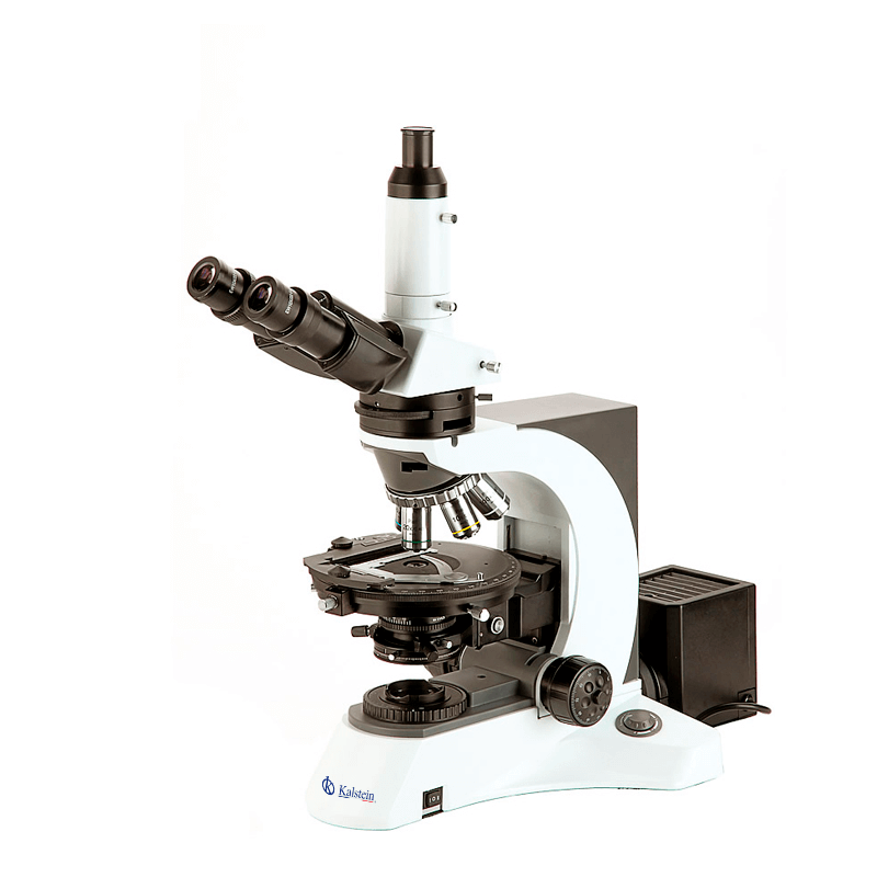 Sector Adaptations for the YR0261 Trinocular Microscope in Clinical, Industrial, Food, Veterinary, and Educational Settings