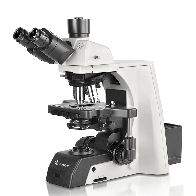 Installation and Startup Guide for the YR0266B Trinocular Microscope