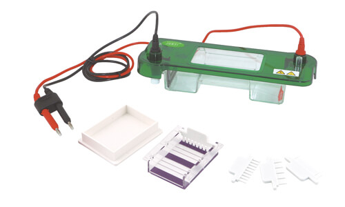 Horizontal Electrophoresis: Understanding Applications and Best Practices in 2026