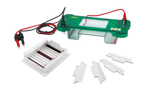 Horizontal Electrophoresis YR03416: Comprehensive Buying Guide and Validation Criteria