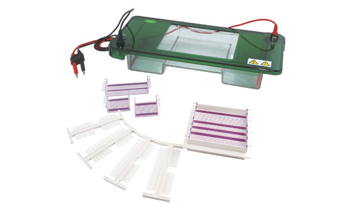 Warranty and Expected Lifespan of the YR03418 Horizontal Electrophoresis Unit
