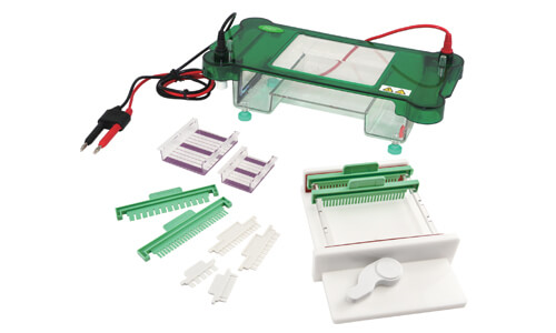 Horizontal Electrophoresis YR03419