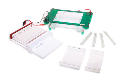 Horizontal Electrophoresis YR03420: A Comprehensive Overview