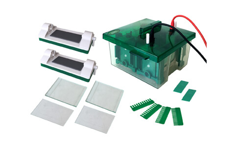 Interpreting Results and Measurement Readings with the YR03427 Electrophoresis Cell