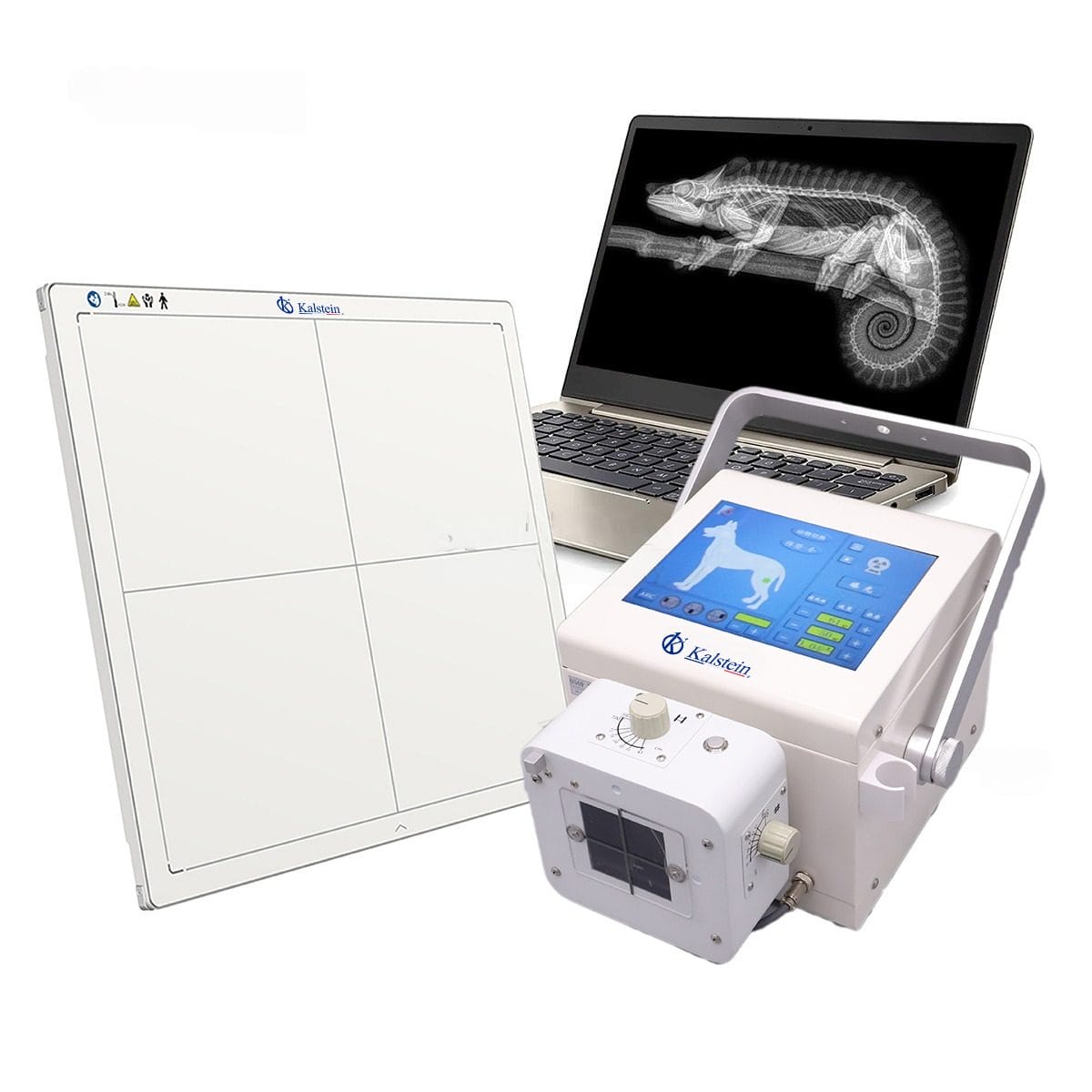 Site Requirements and Environmental Conditions for the YR06160 Portable Digital Veterinary X-Ray