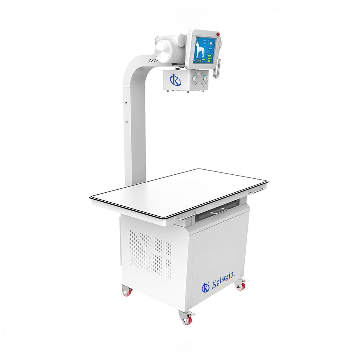 Digital Veterinary X-rays (DR) YR06162 - An Overview