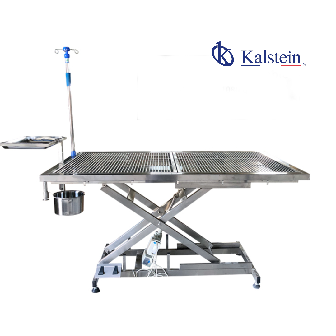 Technical Glossary and Key Terminology for the YR06598 Electric Veterinary Operating Table