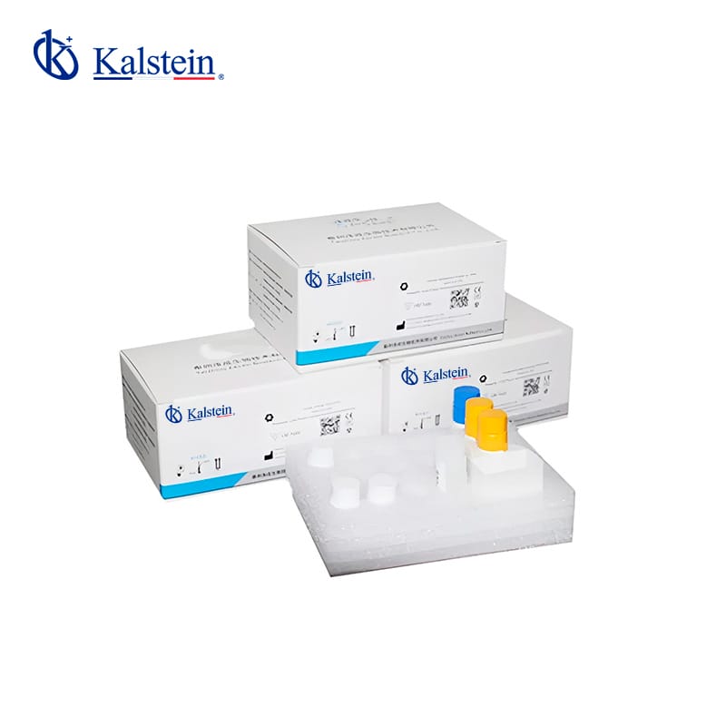 Chemiluminescence Reagents: Practical Applications and Techniques 2026