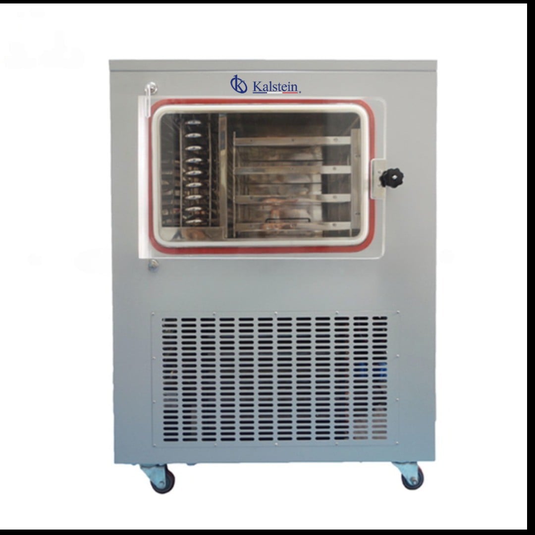 Technical Glossary and Key Terminology for the YR06637 Electric Heating Vacuum Freeze Dryer