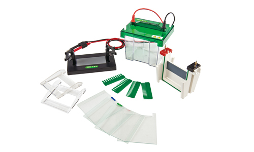 In which sectors does Electrophoresis apply?