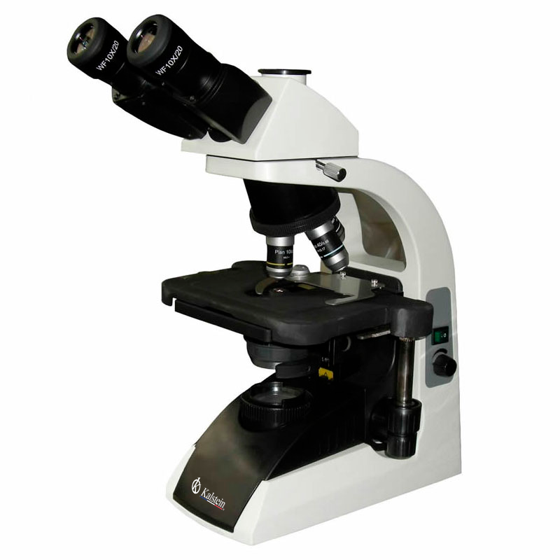 What are the different types of optical microscopes?