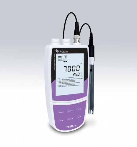 How is Hydrogen Sulfide Detected with the Ion Meter?