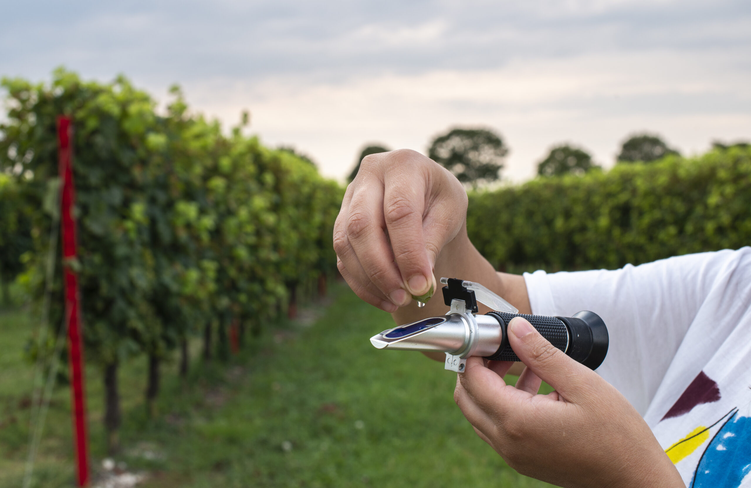 How do I read the Refractometer?