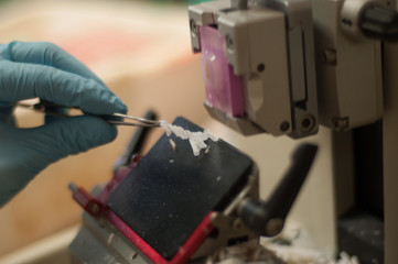Pathological anatomy: microtomes and cryostats
