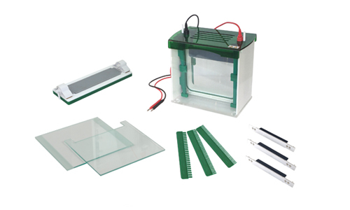 Electrophoresis: Powering the Achievement of Precision in Serological Testing
