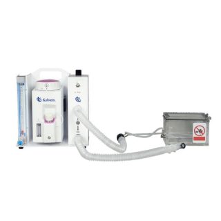 The Crucial Role of Anesthesia in Veterinary Medicine