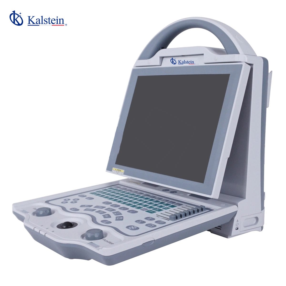 Discover Veterinary Ultrasonography: A Fusion of Advanced Technology and Commitment to Animal Health