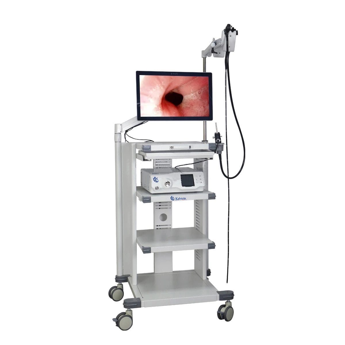 All Facets of Kalstein's Veterinary Video Endoscope