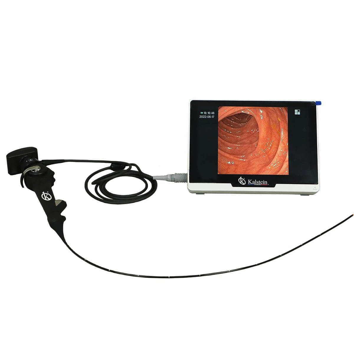 First Approach to the Kalstein Veterinary Video Endoscope