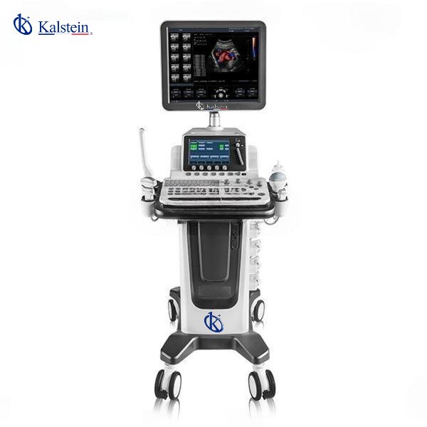 Veterinary Ultrasound: Fast and Non-Invasive Diagnosis for Animal Care