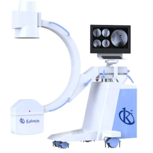 Everything you need to know about veterinary x-rays