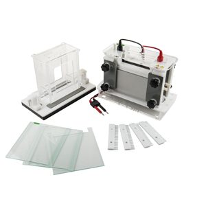 Boosting Science with Electrophoresis Laboratory Equipment