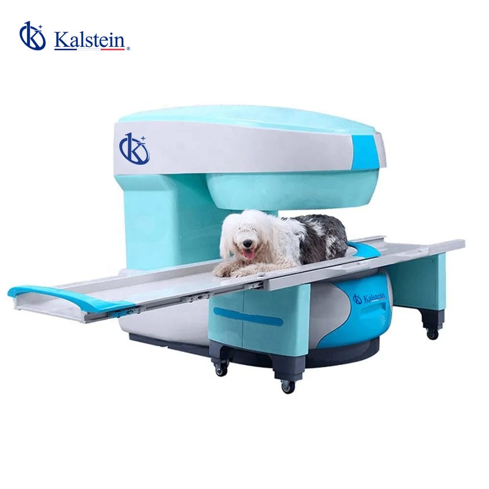 Revolutionizing Animal Healthcare: Veterinary MRI by Kalstein