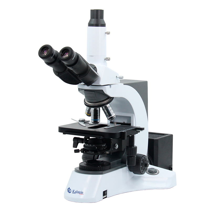 Advanced Lab Microscopes: Trinocular Laboratory Microscope YR0231 vs. OM36-B Laboratory Microscope