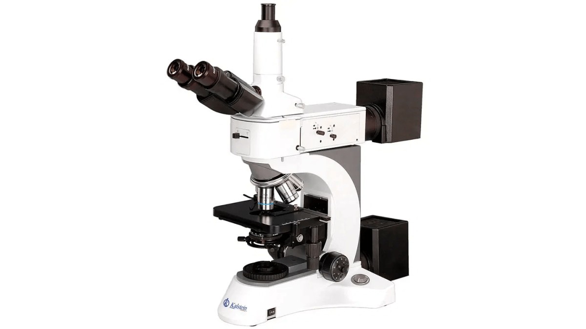 Practical Use of Microscope Trinocular YR0252 in Laboratories