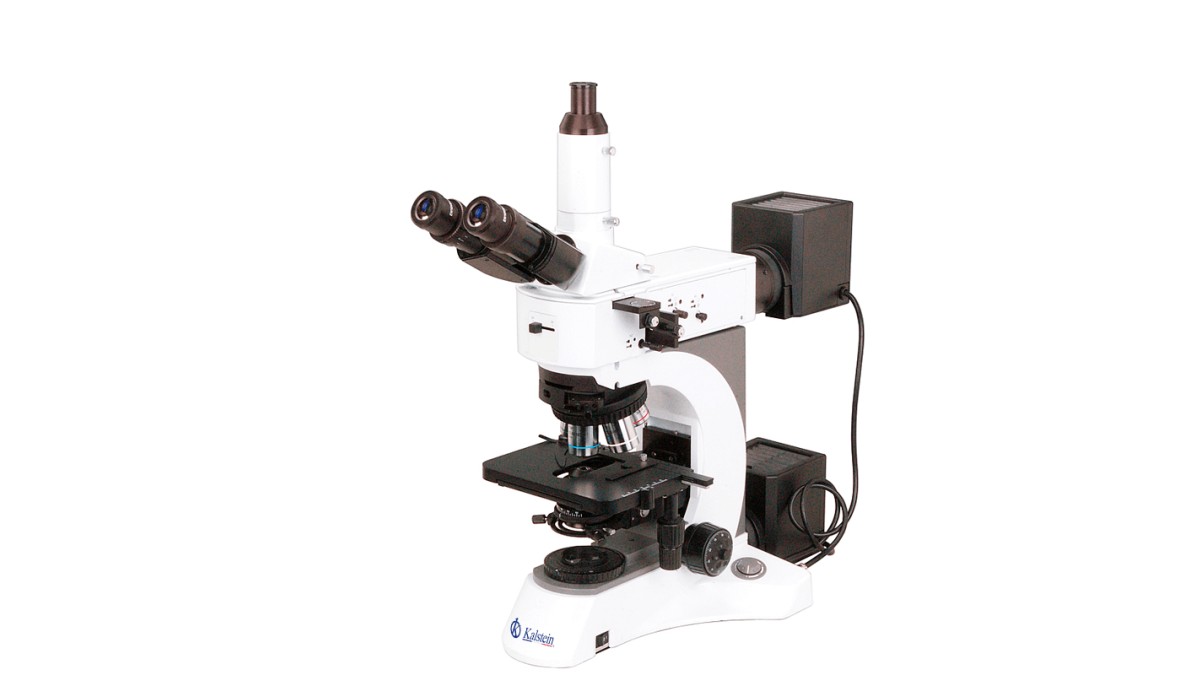Practical Uses of the YR0256 Trinocular Microscope in Laboratories