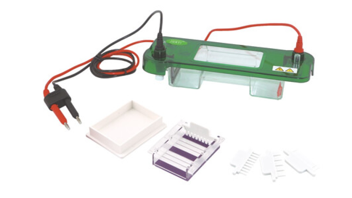 Horizontal Electrophoresis: Understanding Applications and Best Practices in 2026